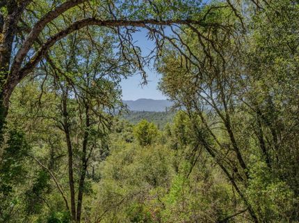 4043 Highway 49, Mokelumne Hill, CA 95245 Photo