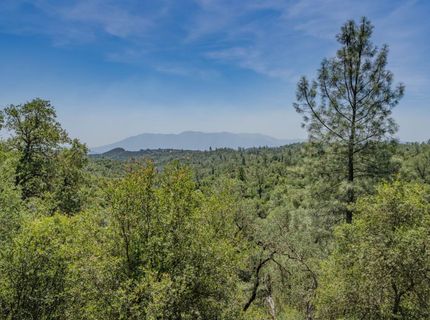 4043 Highway 49, Mokelumne Hill, CA 95245 Photo