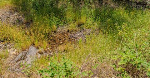 4043 Highway 49, Mokelumne Hill, CA 95245 Photo