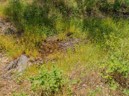 4043 Highway 49, Mokelumne Hill, CA 95245 Photo