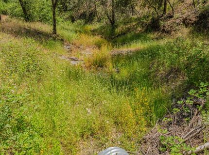 4043 Highway 49, Mokelumne Hill, CA 95245 Photo