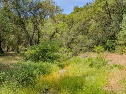 4043 Highway 49, Mokelumne Hill, CA 95245 Photo