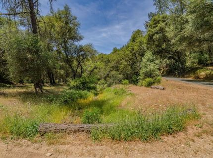 4043 Highway 49, Mokelumne Hill, CA 95245 Photo