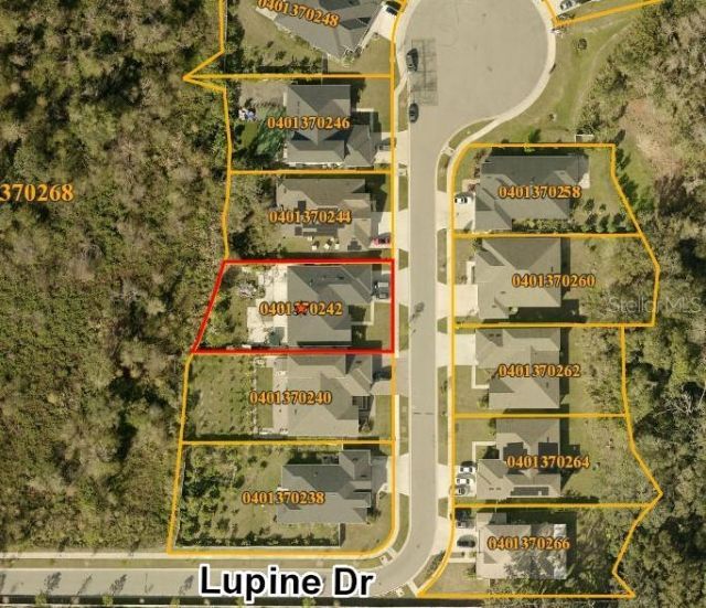 7506 Lupine Dr, Tampa, FL 33610 Photo