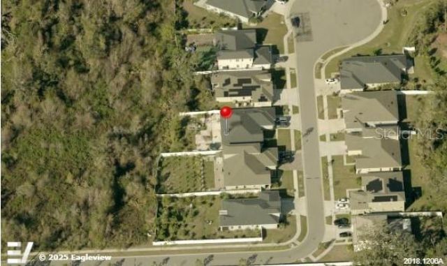 7506 Lupine Dr, Tampa, FL 33610 Photo
