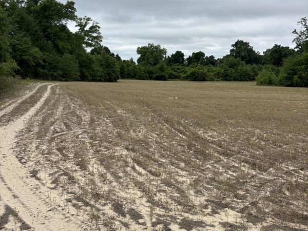 0 Blue Springs Road , Greenwood, FL 32443