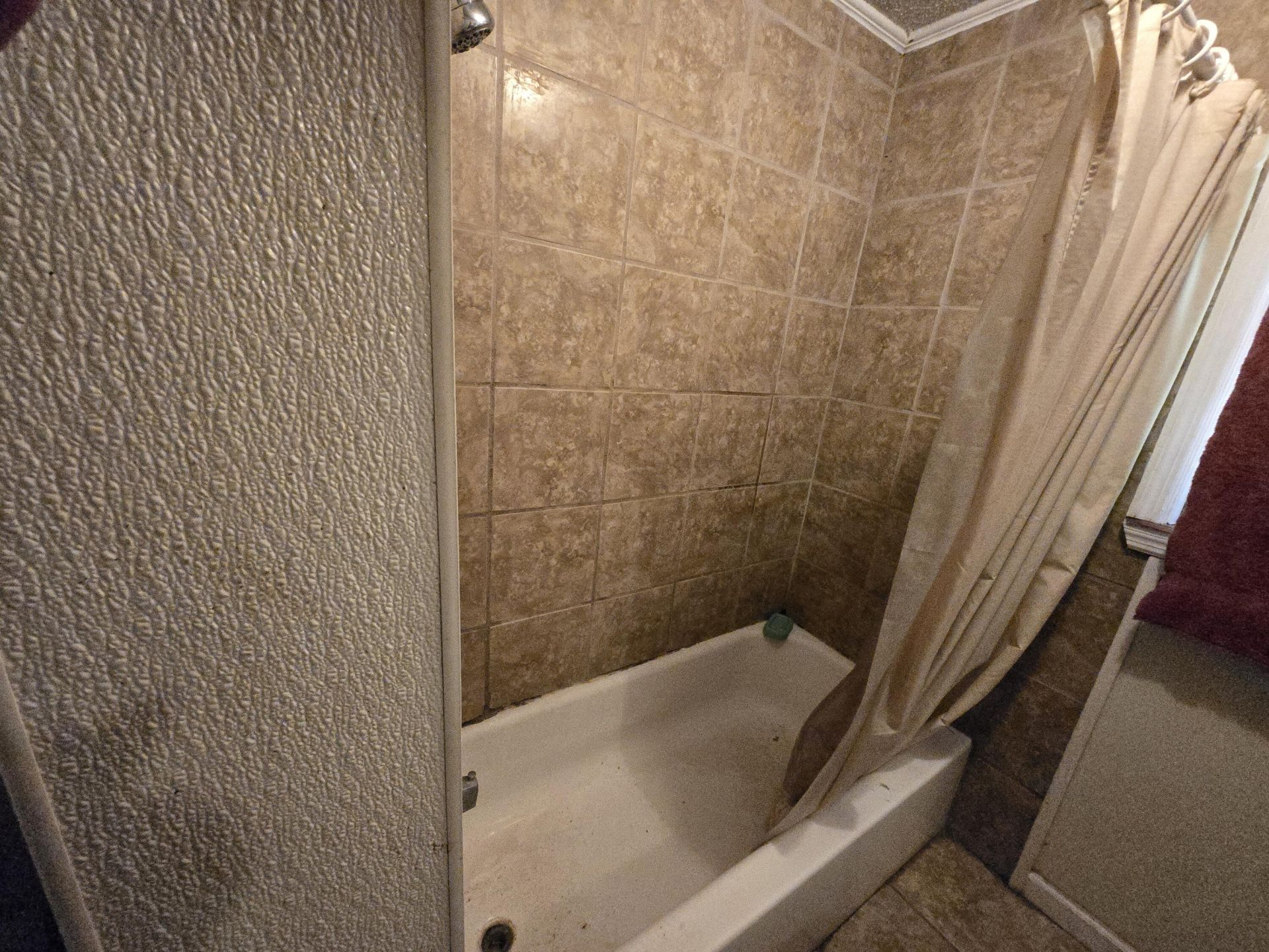 281 George Street Photo 16