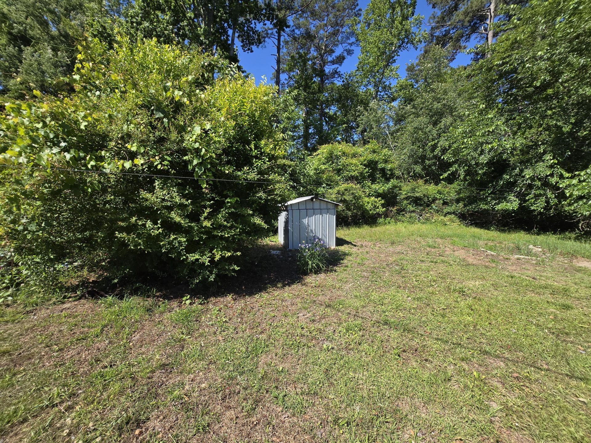 281 George Street Photo 25