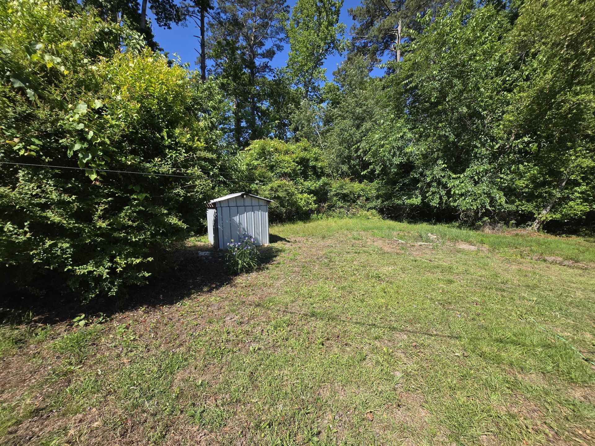 281 George Street Photo 26