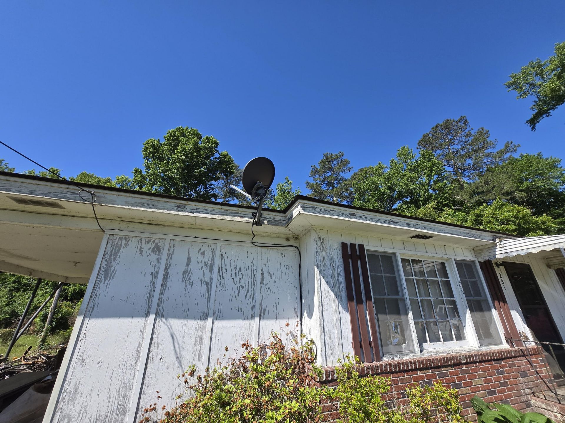 281 George Street Photo 33