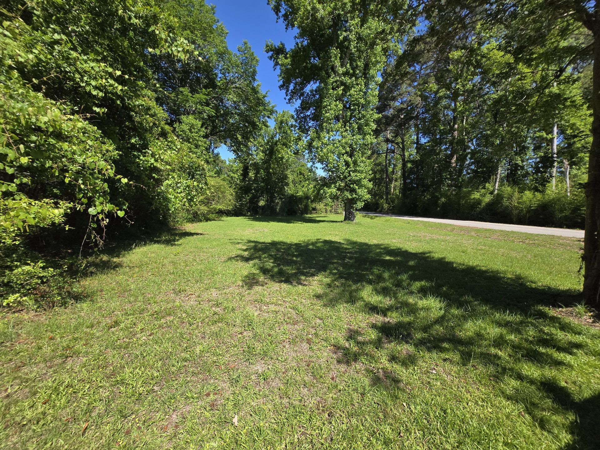 281 George Street Photo 36