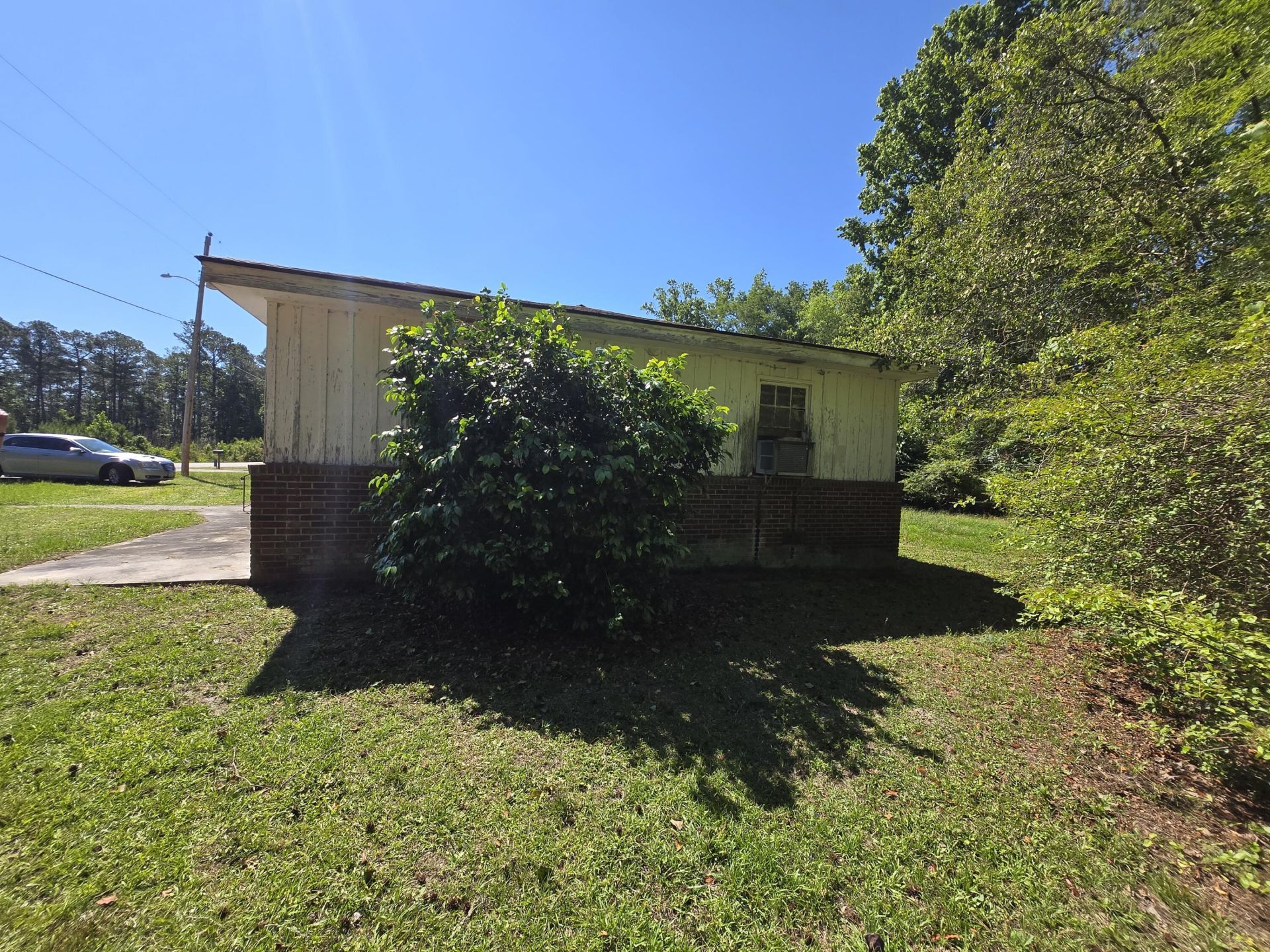 281 George Street Photo 37