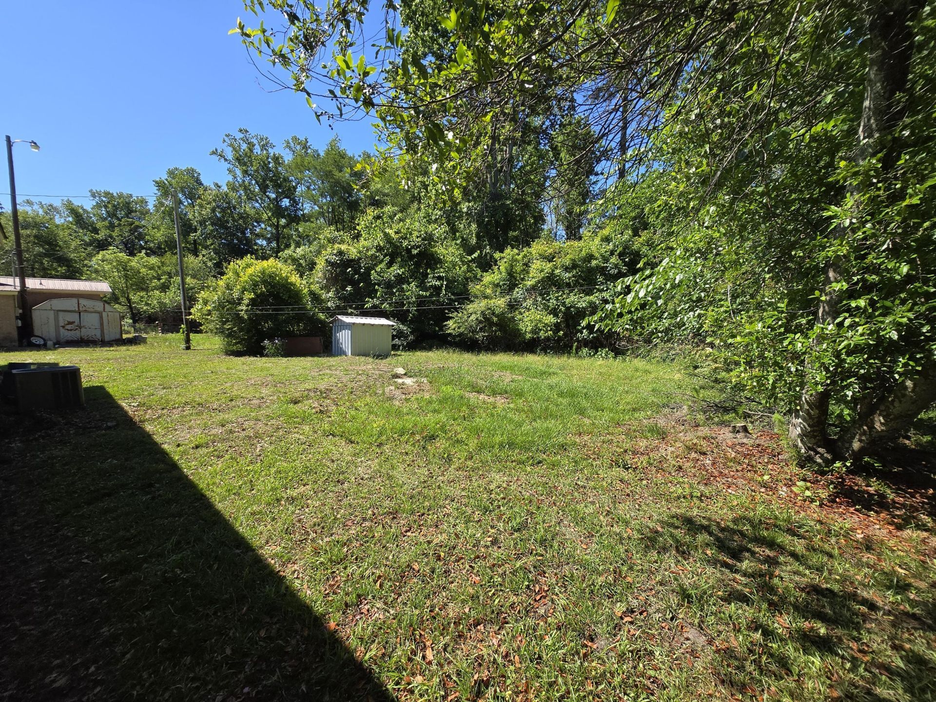 281 George Street Photo 39