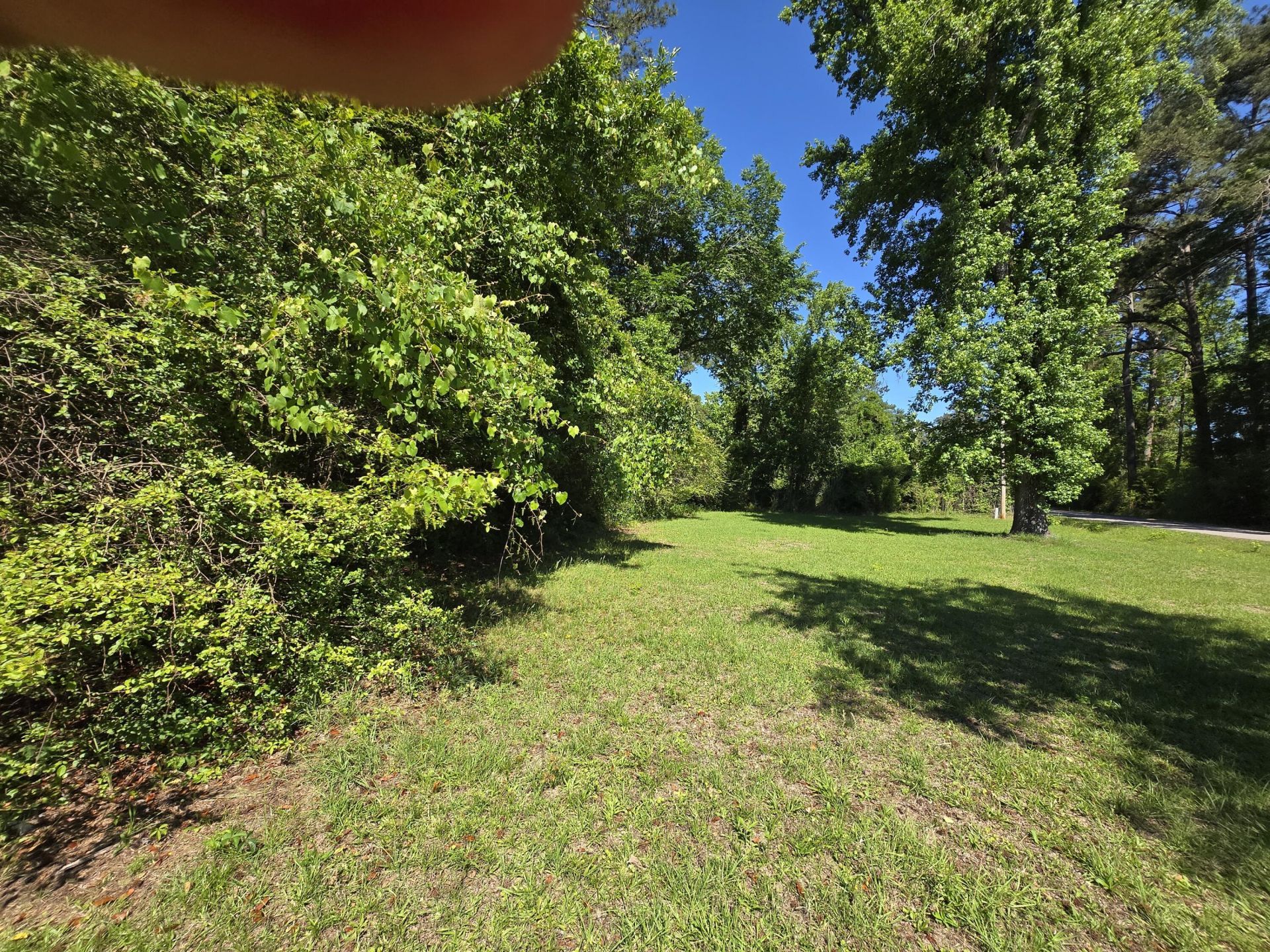 281 George Street Photo 40