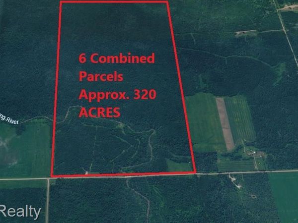 0000 E Townline Road , Pickford Twp, MI 49774
