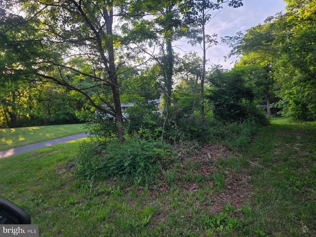 0 Mentzer Gap Road, Waynesboro, PA 17268 Main Photo
