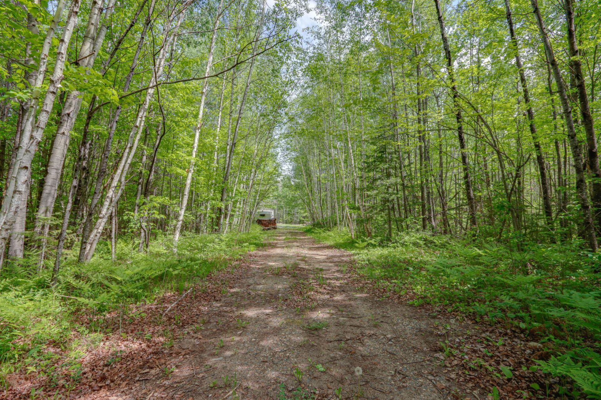 68990 Great River Road , Jacobson, MN 55752 Main Photo