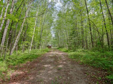 68990 Great River Road, Jacobson, MN 55752