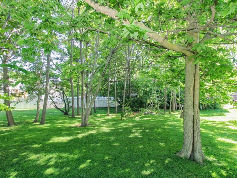 210 Spring Street, Castalia, OH 44824 Photo 66