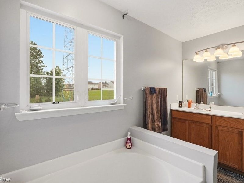 1223 Tinkers Green Drive, Streetsboro, OH 44241 Photo 16