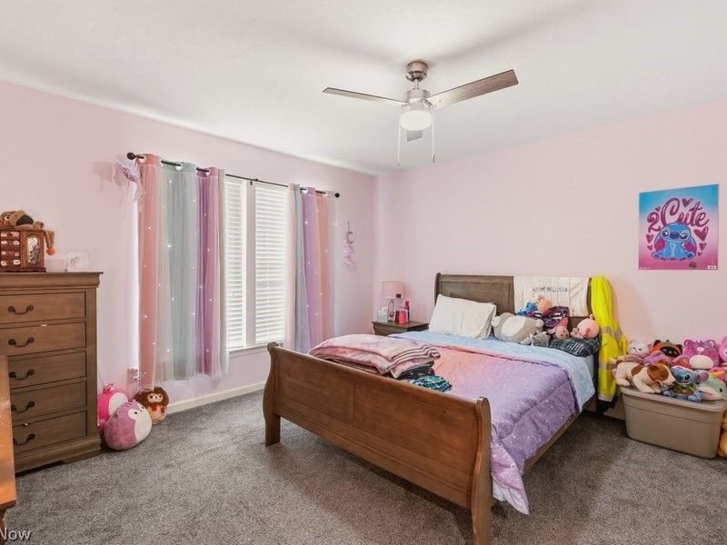 1223 Tinkers Green Drive, Streetsboro, OH 44241 Photo 17