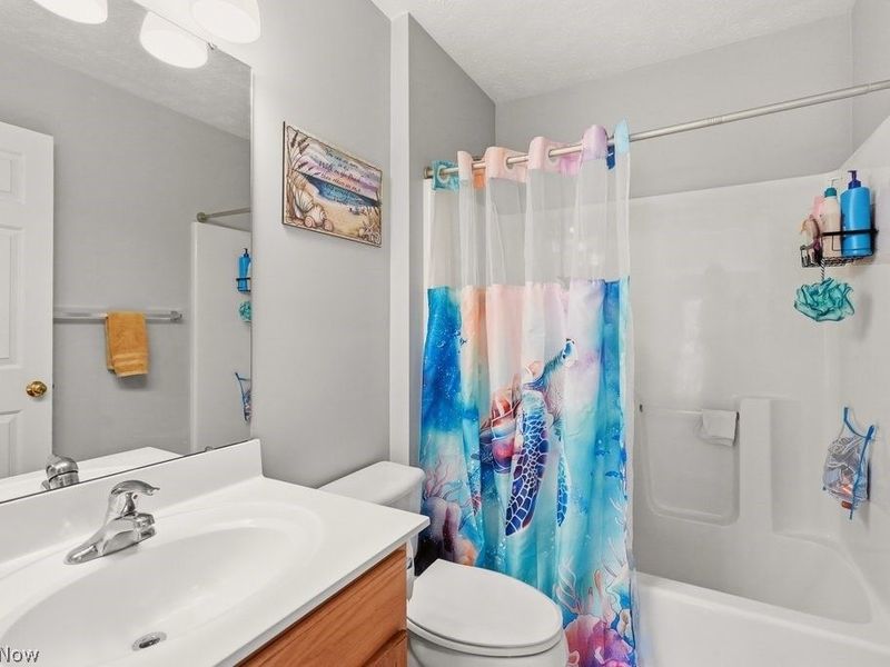 1223 Tinkers Green Drive, Streetsboro, OH 44241 Photo 20