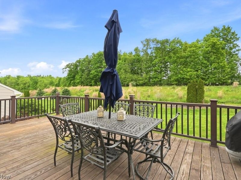 1223 Tinkers Green Drive, Streetsboro, OH 44241 Photo 27