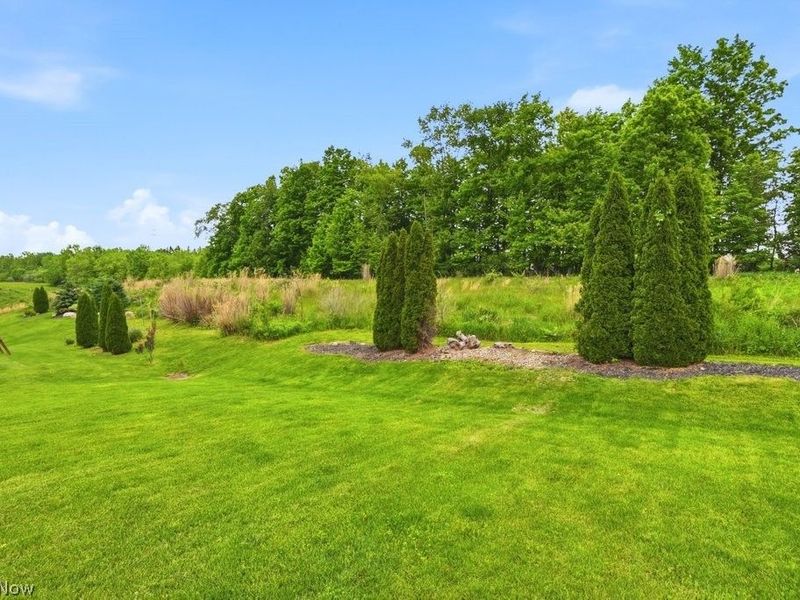 1223 Tinkers Green Drive, Streetsboro, OH 44241 Photo 28