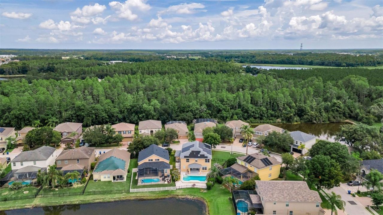 1345 Halapa Way , Trinity, FL 34655 Photo