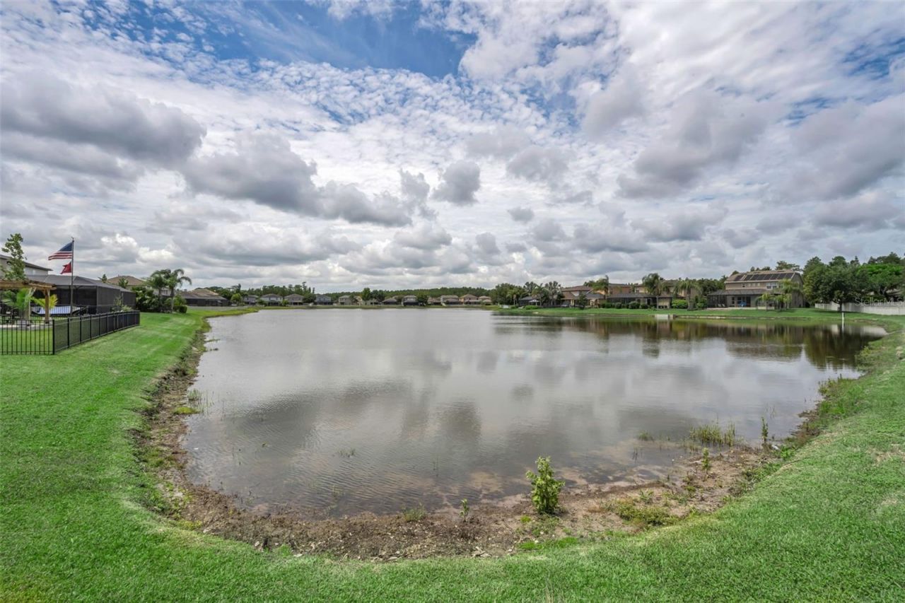 1345 Halapa Way , Trinity, FL 34655 Photo