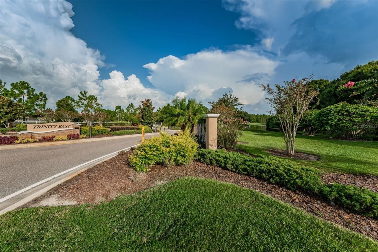 1345 Halapa Way , Trinity, FL 34655 Photo