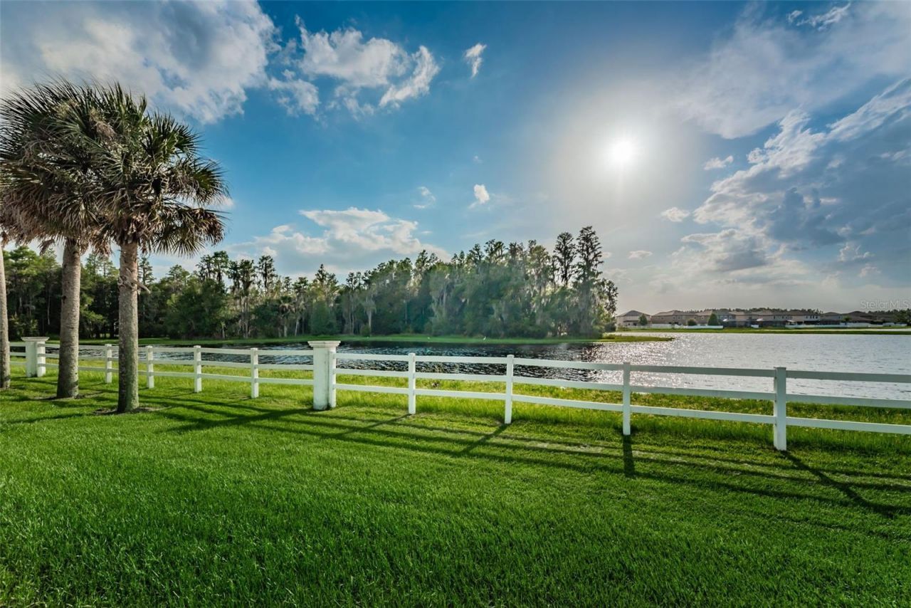 1345 Halapa Way , Trinity, FL 34655 Photo
