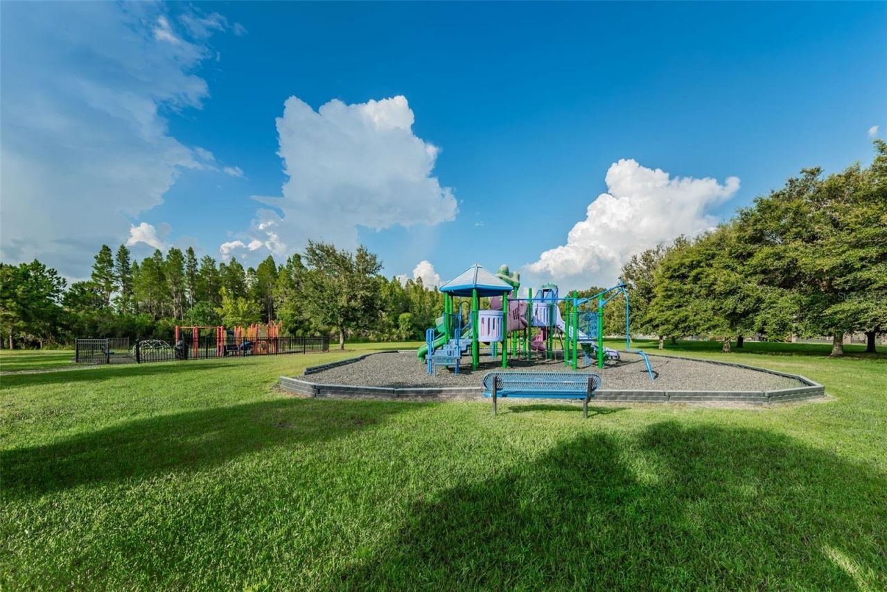1345 Halapa Way , Trinity, FL 34655 Photo