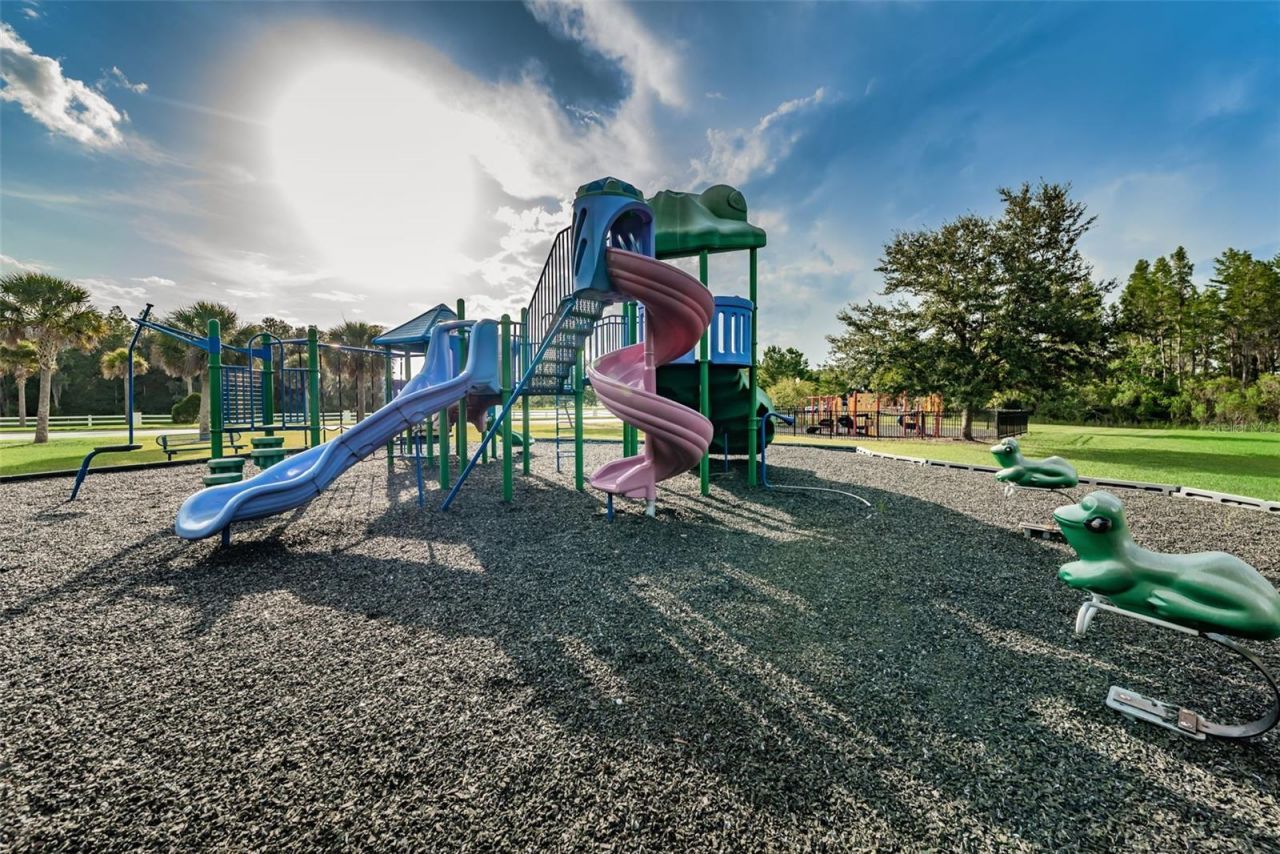 1345 Halapa Way , Trinity, FL 34655 Photo