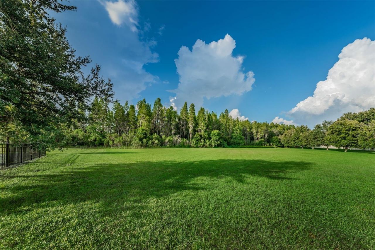 1345 Halapa Way, Trinity, FL 34655 Photo