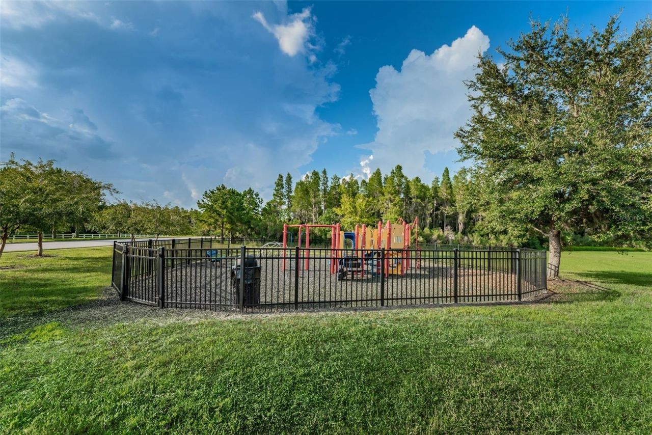 1345 Halapa Way , Trinity, FL 34655 Photo