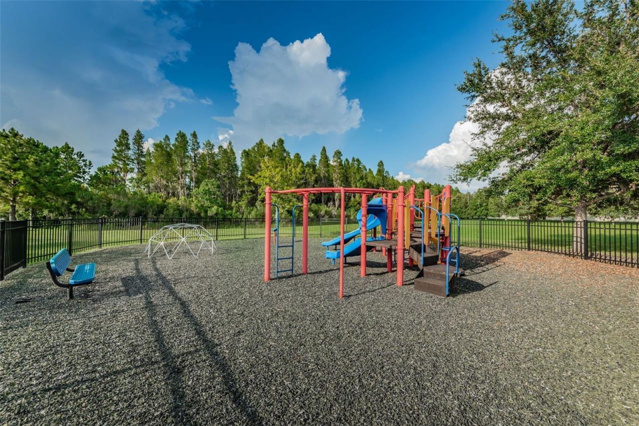 1345 Halapa Way , Trinity, FL 34655 Photo