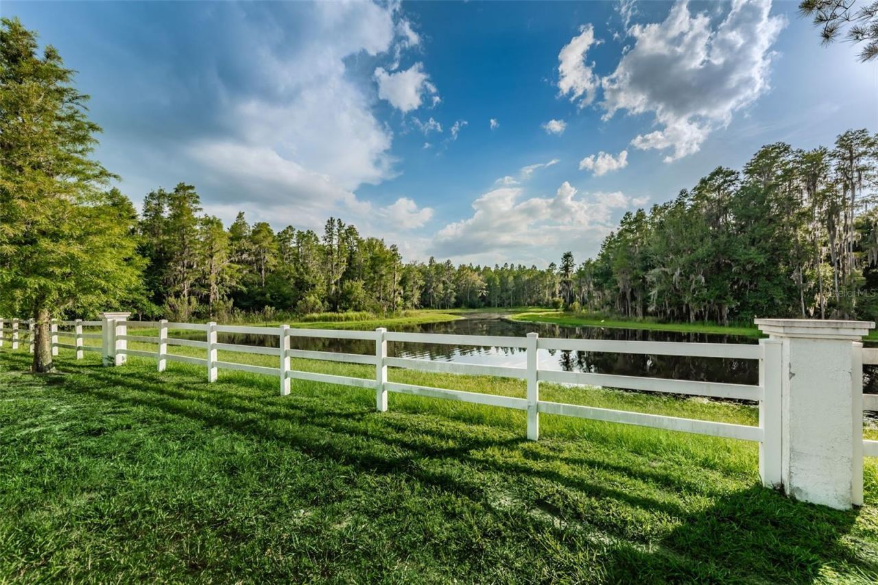 1345 Halapa Way , Trinity, FL 34655 Photo