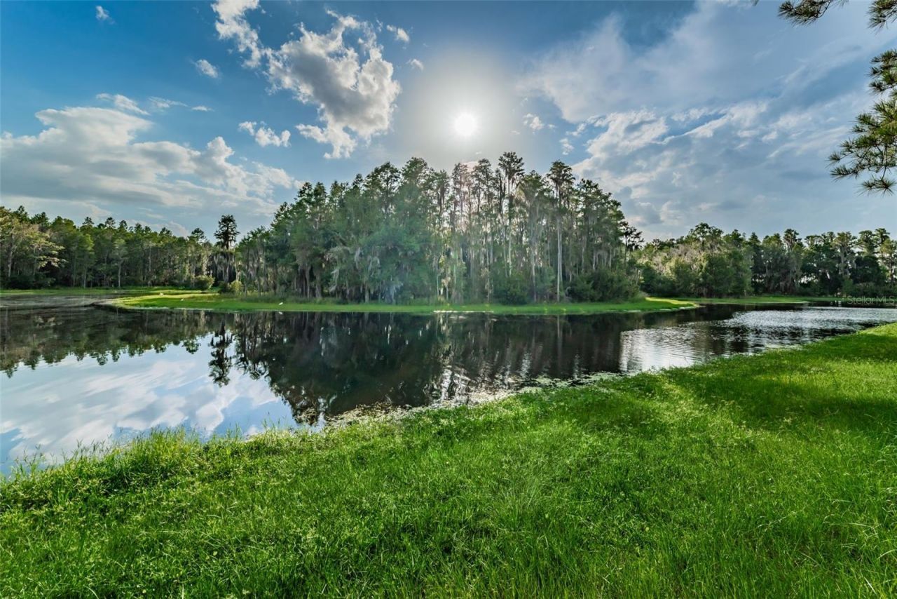 1345 Halapa Way , Trinity, FL 34655 Photo