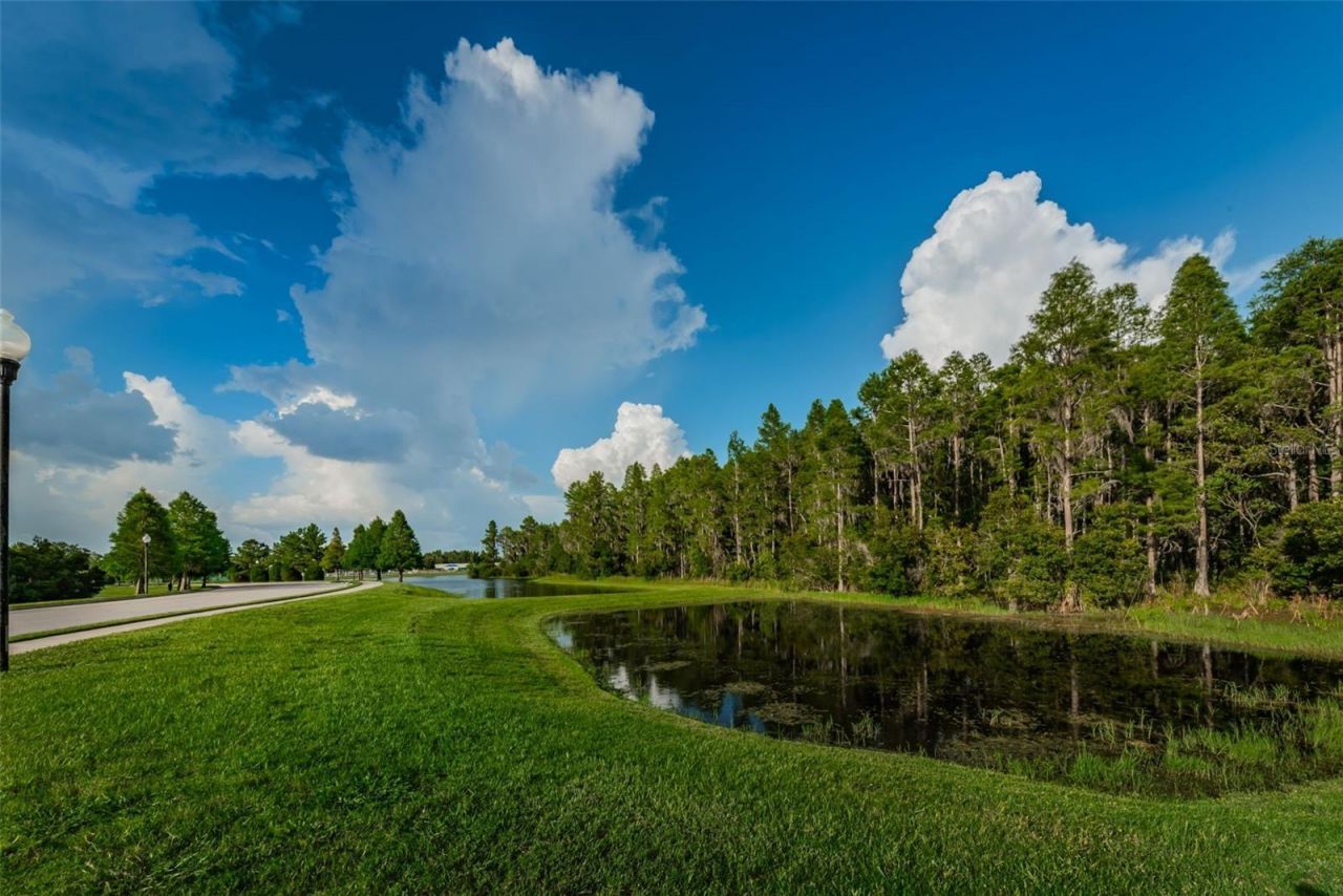 1345 Halapa Way , Trinity, FL 34655 Photo