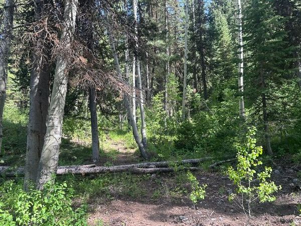9328 E WILD CLEMATIS LN, Brighton, UT 84121