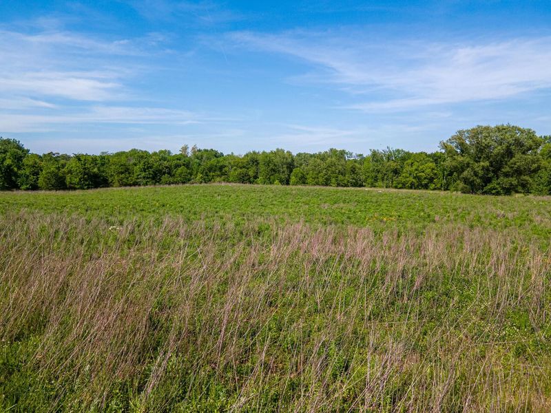 5329 Township Road 115 , Mount Gilead, OH 43338 Photo 50