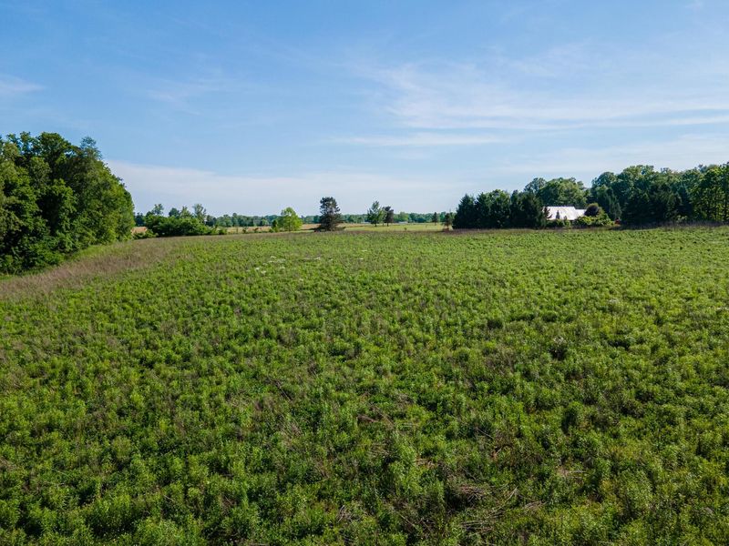 5329 Township Road 115 , Mount Gilead, OH 43338 Photo 51