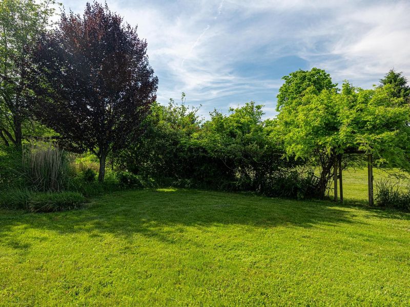 5329 Township Road 115 , Mount Gilead, OH 43338 Photo 60
