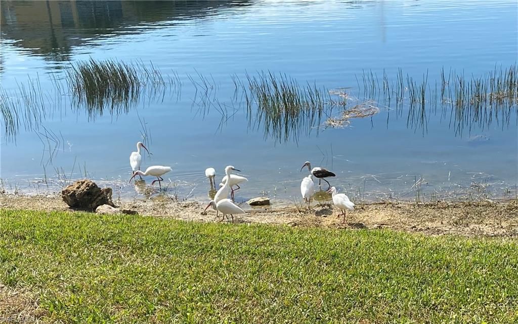 1250 Yesica Ann Cir, Unit E106, Naples, FL 34110 Photo