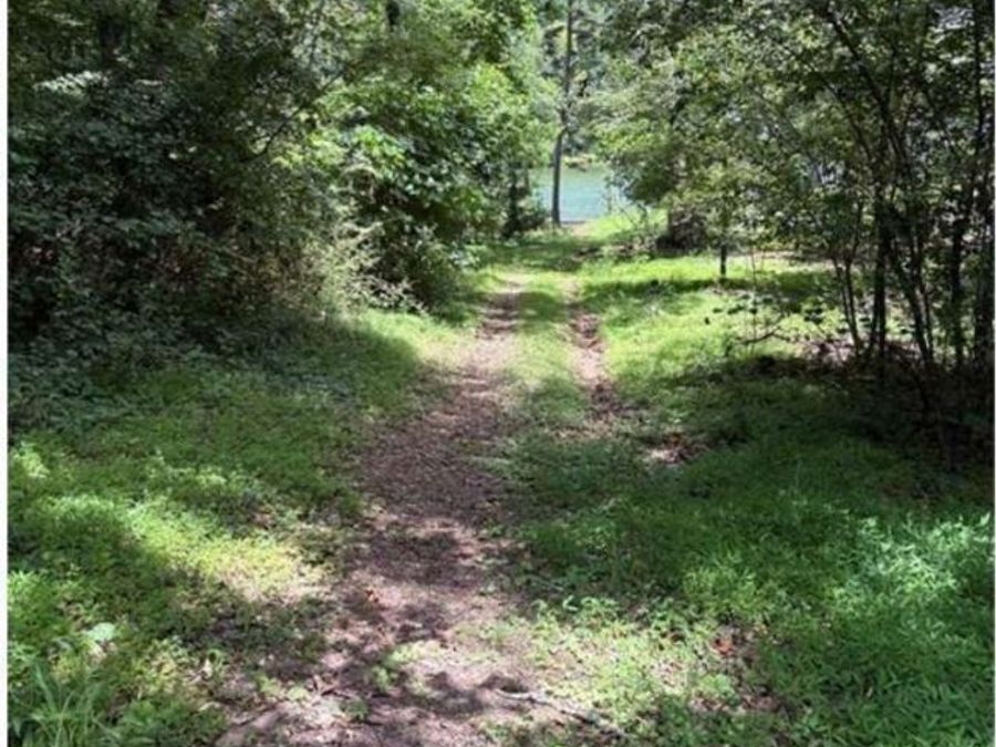 Property Image 64