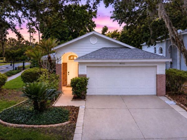 16002 ROBEY COURT , TAMPA, FL 33647