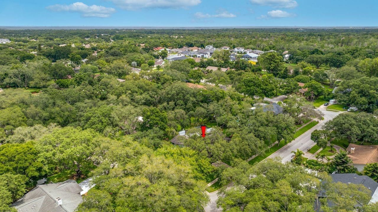 2827 Pheasant Run, Clearwater, FL 33759 Photo
