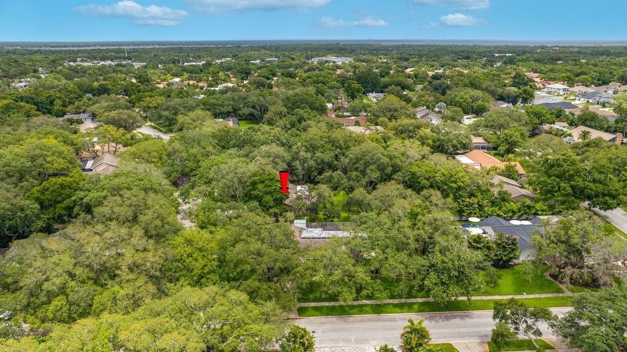2827 Pheasant Run, Clearwater, FL 33759 Photo