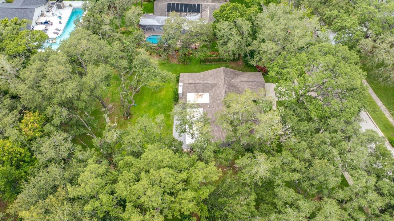 2827 Pheasant Run, Clearwater, FL 33759 Photo